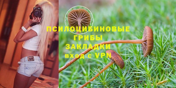 PSILOCYBIN Алексеевка