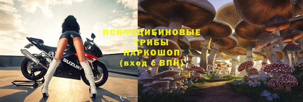 мяу мяу мука Алзамай