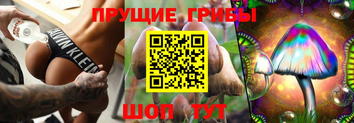 Псилоцибиновые грибы мухоморы  Псилоцибиновые грибы Psilocybe  Нурлат  Вход с VPN 
